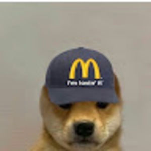 Meet your Posher, Mcdoggo